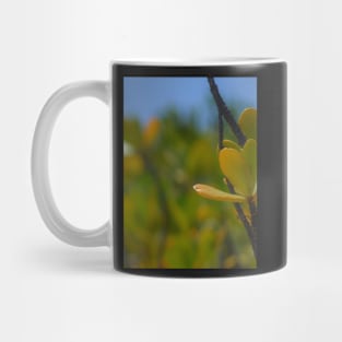 Beach Mangrove 3 Mug